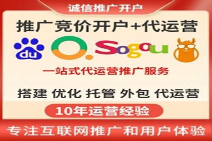 竞价广告策略案例分析